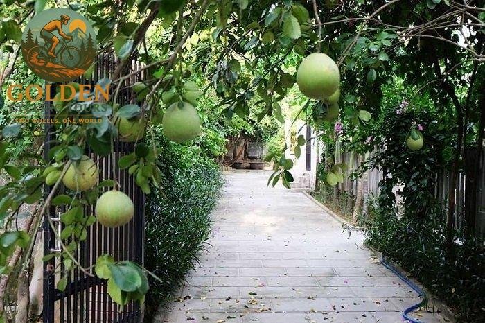 Half-Day Biking to Thuy Bieu Village: Garden Houses & River Cruise